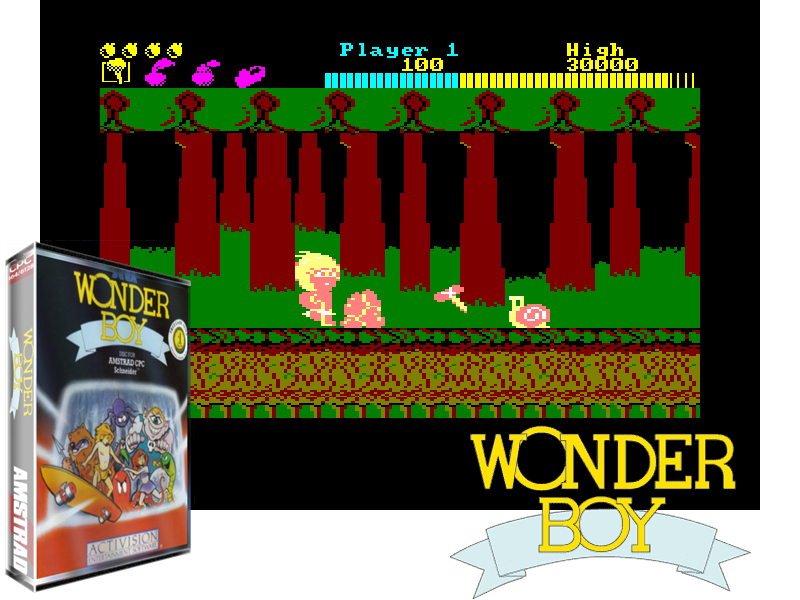 Photo du jeu Wonderboy 